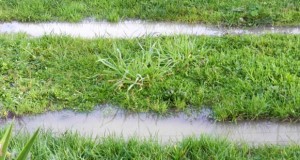 Water sitting over lateral lines of drainfield